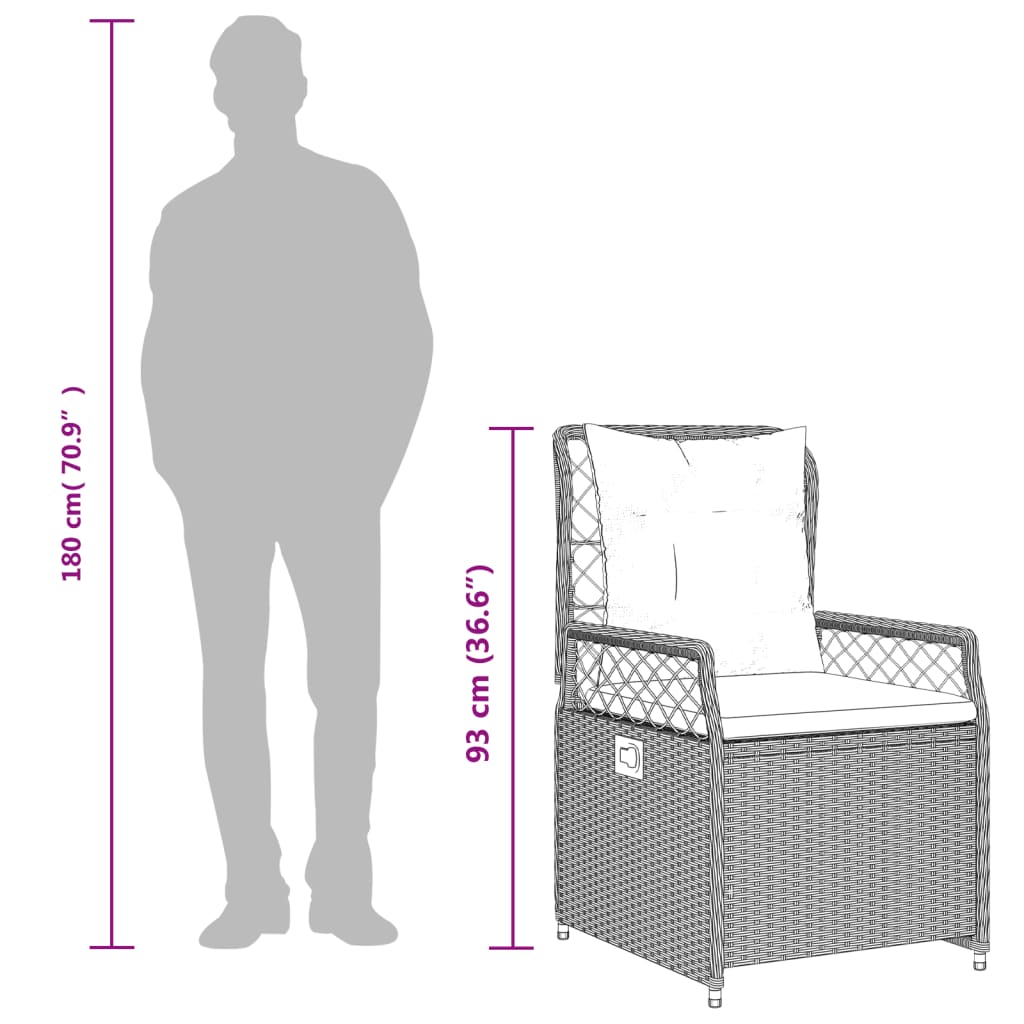 5-Delige Tuinset Met Kussens Poly Rattan